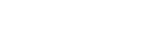 Skinvault_logo_white@2x