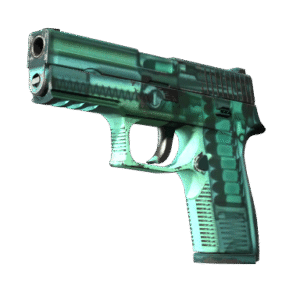 P250 | X-Ray (Field-Tested)