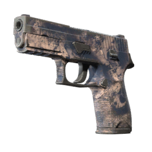 Souvenir P250 | Drought (Field-Tested)