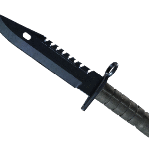 ★ M9 Bayonet | Blue Steel (Field-Tested)