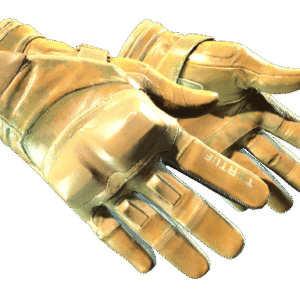 ★ Moto Gloves | Transport (Factory New)