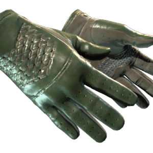 ★ Driver Gloves | Racing Green (Factory New)