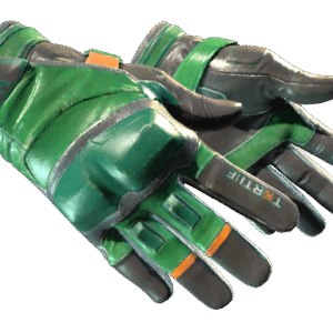 ★ Moto Gloves | Turtle (Field-Tested)