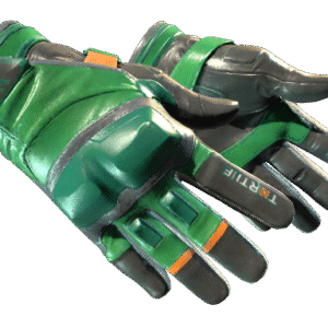 ★ Moto Gloves | Turtle (Minimal Wear)